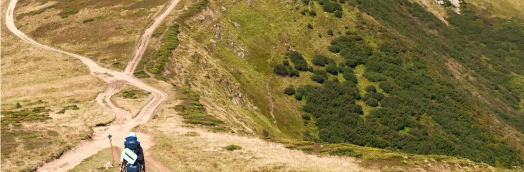 Hiker approaching a fork in a path